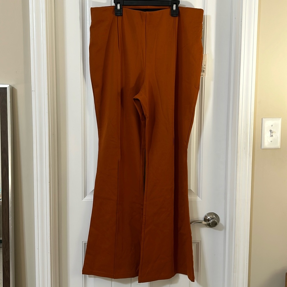 NWT trousers/dress pants